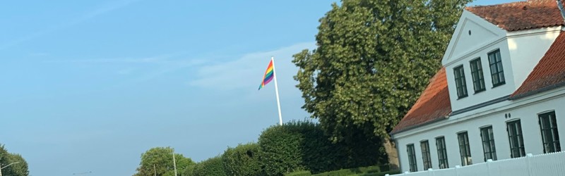 Regnbueflag ved Dragør Rådhus set på afstand